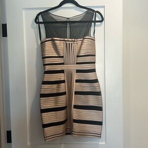 BCBGMaxazria bandage dress in champagne satin and black mesh